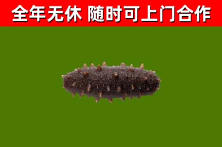 晋源区烟酒回收干海参.jpg